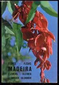 Madeira planten en bloemen