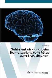 Gehirnentwicklung beim Homo sapiens vom Foetus zum Erwachsenen