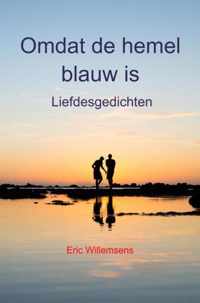 Omdat de hemel blauw is - Eric Willemsens - Paperback (9789403658131)