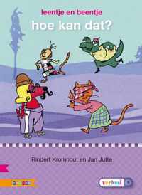 Hoe Kan Dat? - Rindert Kromhout - Hardcover (9789048719488)