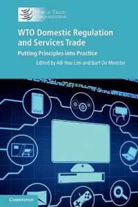 WTO Domestic Regulation & Services Trade