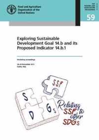 Exploring sustainable development goal 14.b and its proposed indicator 14.b.1