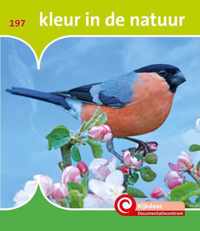 De Kijkdoos  -   Kleur in de natuur