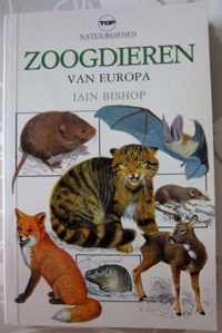 Zoogdieren van europa