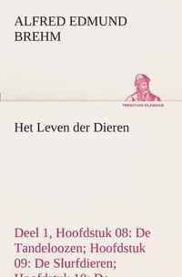 Het Leven der Dieren Deel 1, Hoofdstuk 08: De Tandeloozen; Hoofdstuk 09: De Slurfdieren; Hoofdstuk 10