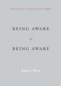 Being Aware of Being Aware