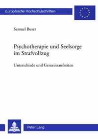 Psychotherapie Und Seelsorge Im Strafvollzug