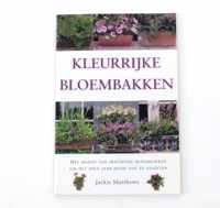 kleurrijke bloembakken