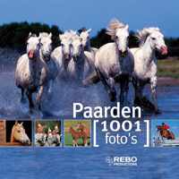 Paarden