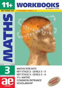 11+ Maths