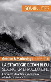 La strategie Ocean bleu selon C. Kim et Mauborgne