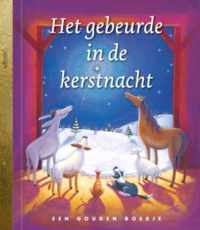 Het gebeurde in de kerstnacht