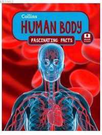 Human Body