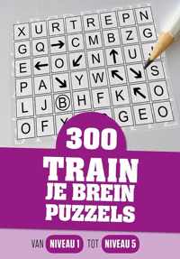 300 train je brein puzzels