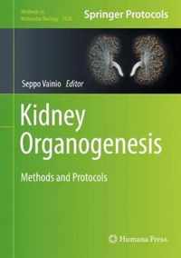 Kidney Organogenesis