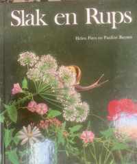 Slak en rups