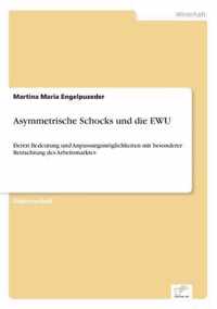 Asymmetrische Schocks und die EWU