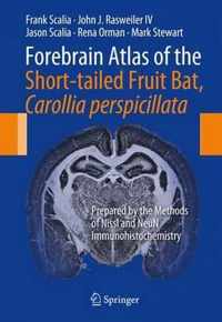 Forebrain Atlas of the Short-tailed Fruit Bat, Carollia perspicillata