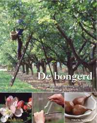 De Bongerd