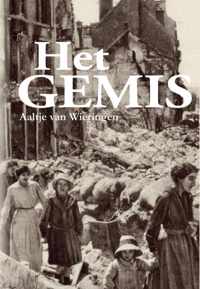 Het gemis - Aaltje van Wieringen - Paperback (9789462179950)