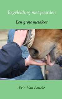 Begeleiding met paarden