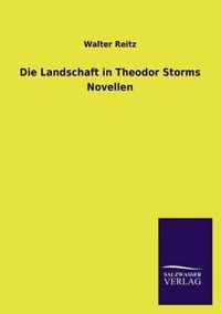 Die Landschaft in Theodor Storms Novellen