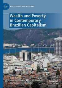 Wealth and Poverty in Contemporary Brazilian Capitalism