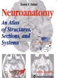 Neuroanatomy