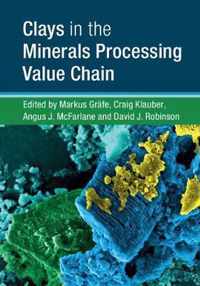 Clays in the Minerals Processing Value Chain