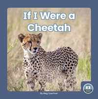 If I Were a Cheetah