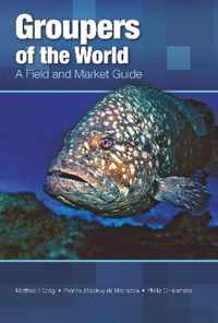 Groupers of the World