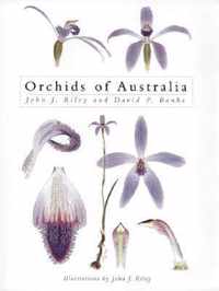 Orchids of Australia