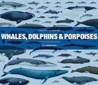 Whales, Dolphins and Porpoises