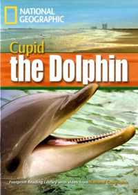 A Dolphin Named Cupid