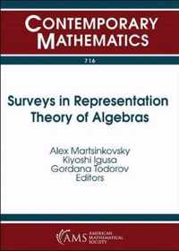 Surveys in Representation Theory of Algebras