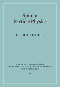 Spin in Particle Physics