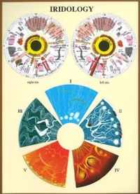 Iridology -- A4