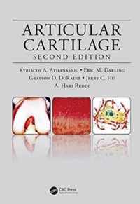 Articular Cartilage