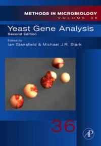 Yeast Gene Analysis