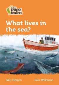 Collins Peapod Readers - Level 4 - What lives in the sea?