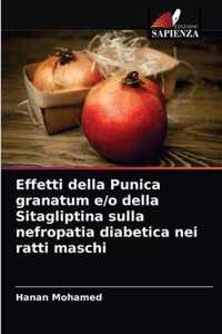 Effetti della Punica granatum e/o della Sitagliptina sulla nefropatia diabetica nei ratti maschi