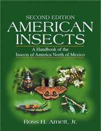 American Insects