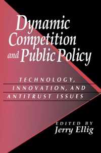 Dynamic Competition and Public Policy