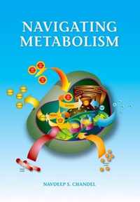 Navigating Metabolism