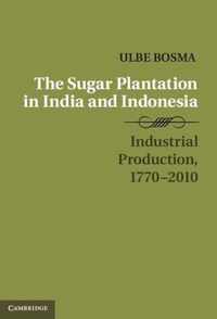 Sugar Plantation In India And Indonesia