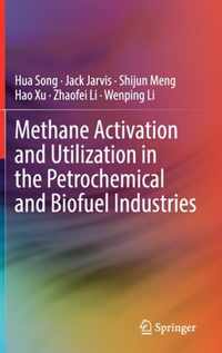 Methane Activation and Utilization in the Petrochemical and Biofuel Industries