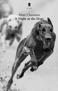 A Night at the Dogs