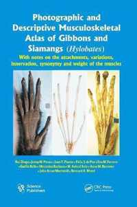 Photographic and Descriptive Musculoskeletal Atlas of Gibbons and Siamangs (Hylobates)