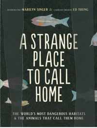 A Strange Place to Call Home