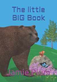The little BIG Book
